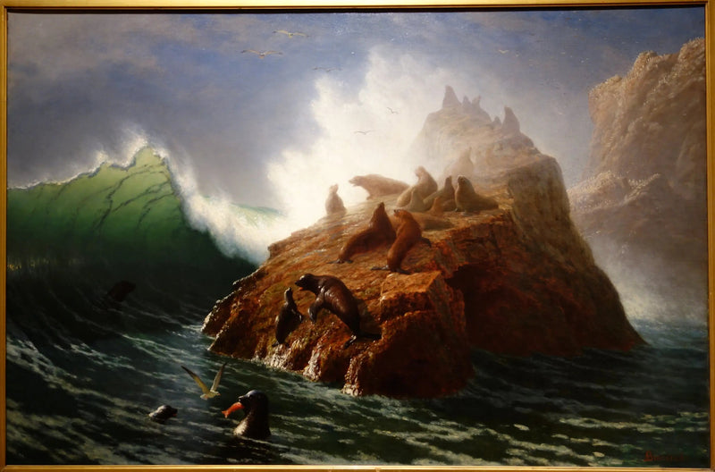 Rocher del foca - Albert Bierstadt