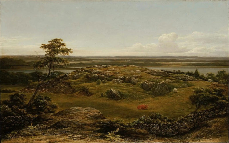 Rocas en Nueva Inglaterra - Martin Johnson Heade