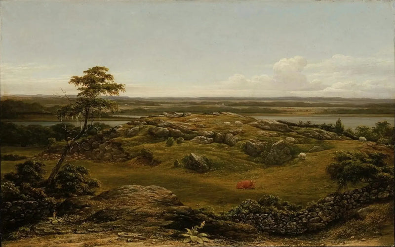 Rocas en Nueva Inglaterra - Martin Johnson Heade