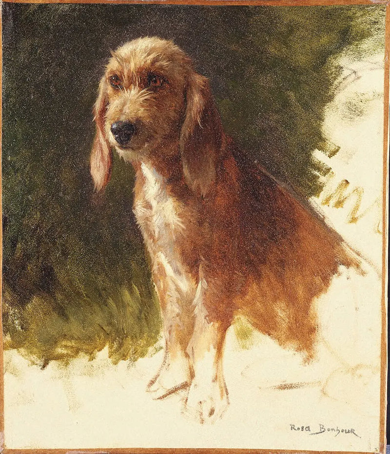 Study of a Dog - Rosa Bonheur