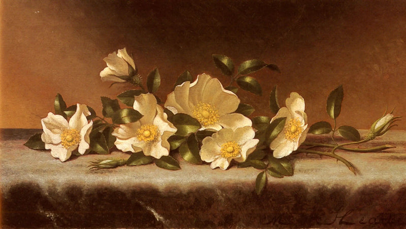 Rosas Cherokee sobre una tela gris claro - Martin Johnson Heade