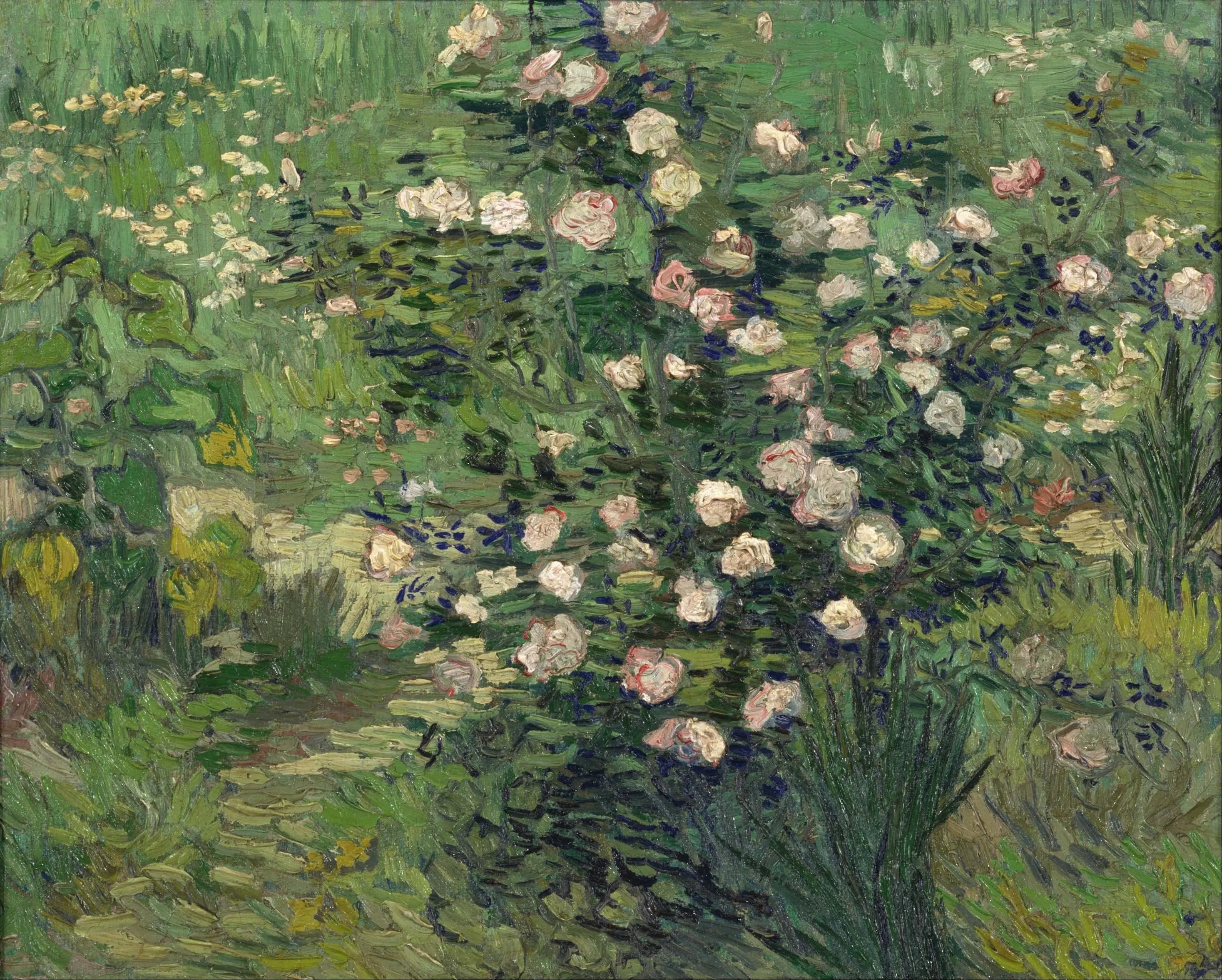 Roses - Vincent van Gogh image 1 reproduction réalisée par Alpha Reproduction