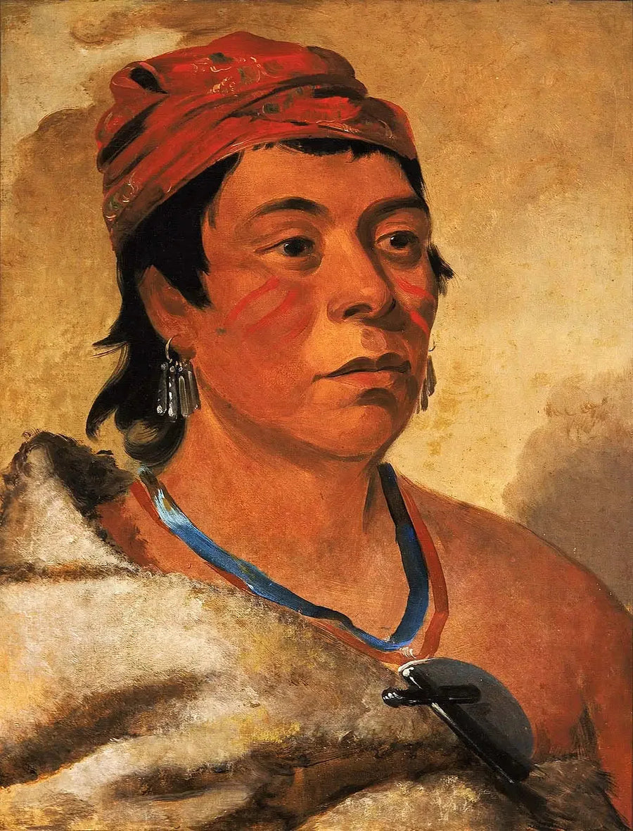 Isla Redonda, un guerrero - George Catlin