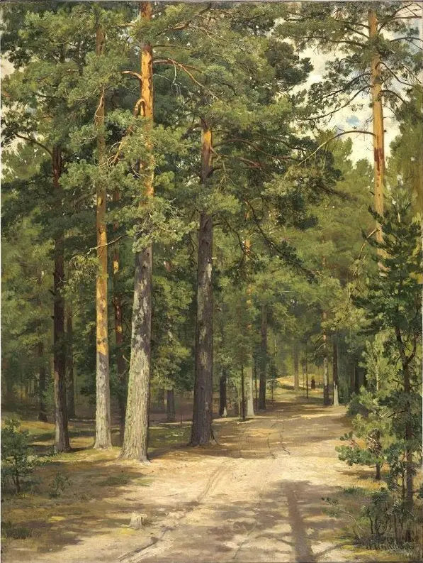 Ruta por el bosque de pinos - Ivan Chichkine