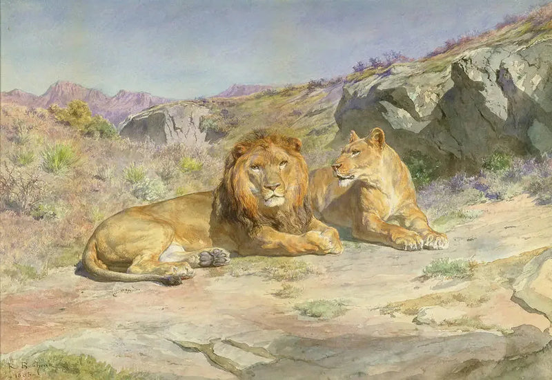 Royale en casa - Rosa Bonheur