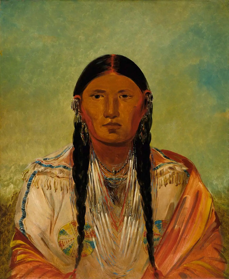 Ru-ton-wee-me, Paloma en el ala - George Catlin