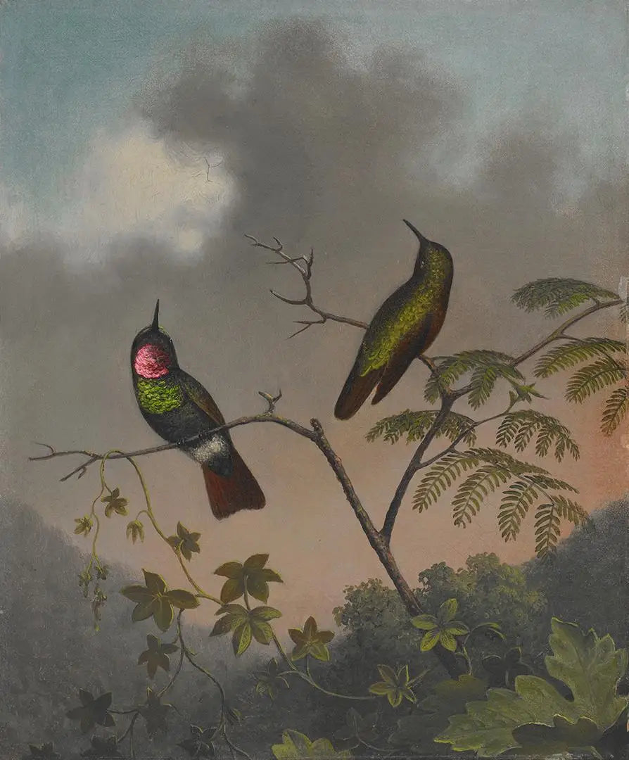 Rubis brésilien - Martin Johnson Heade image 1 reproduction artisanale de tableau