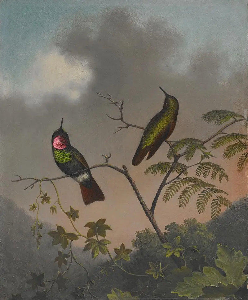 Rubí brasileño - Martin Johnson Heade
