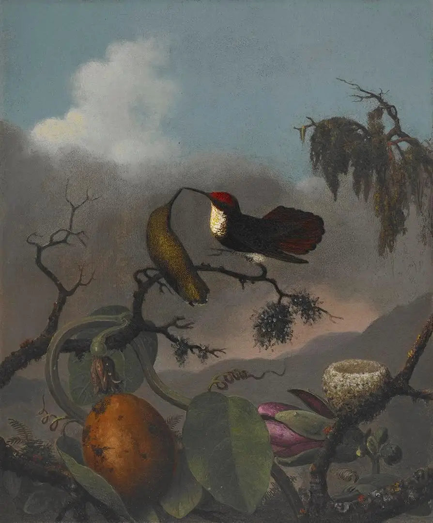 Rubis-Topaze - Martin Johnson Heade - Alpha Reproduction