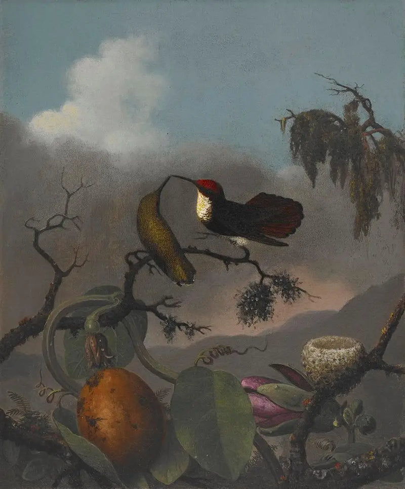 Rubí-Topacio - Martin Johnson Heade