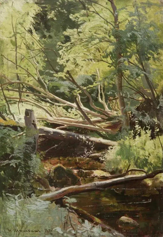 Arroyo en el bosque - Ivan Chichkine