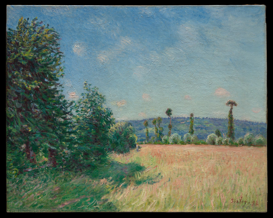 Sahurs Meadows in Morning Sun - Alfred Sisley