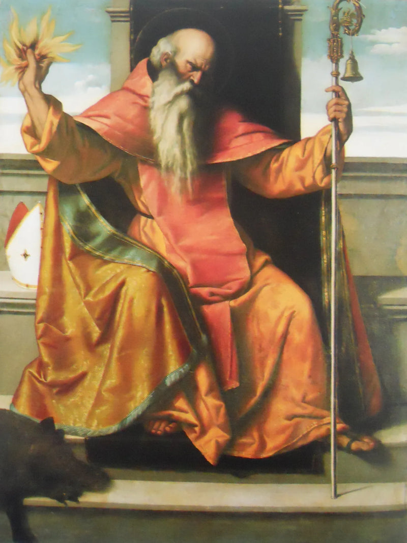 San Antonio Abad - Alessandro Bonvicino