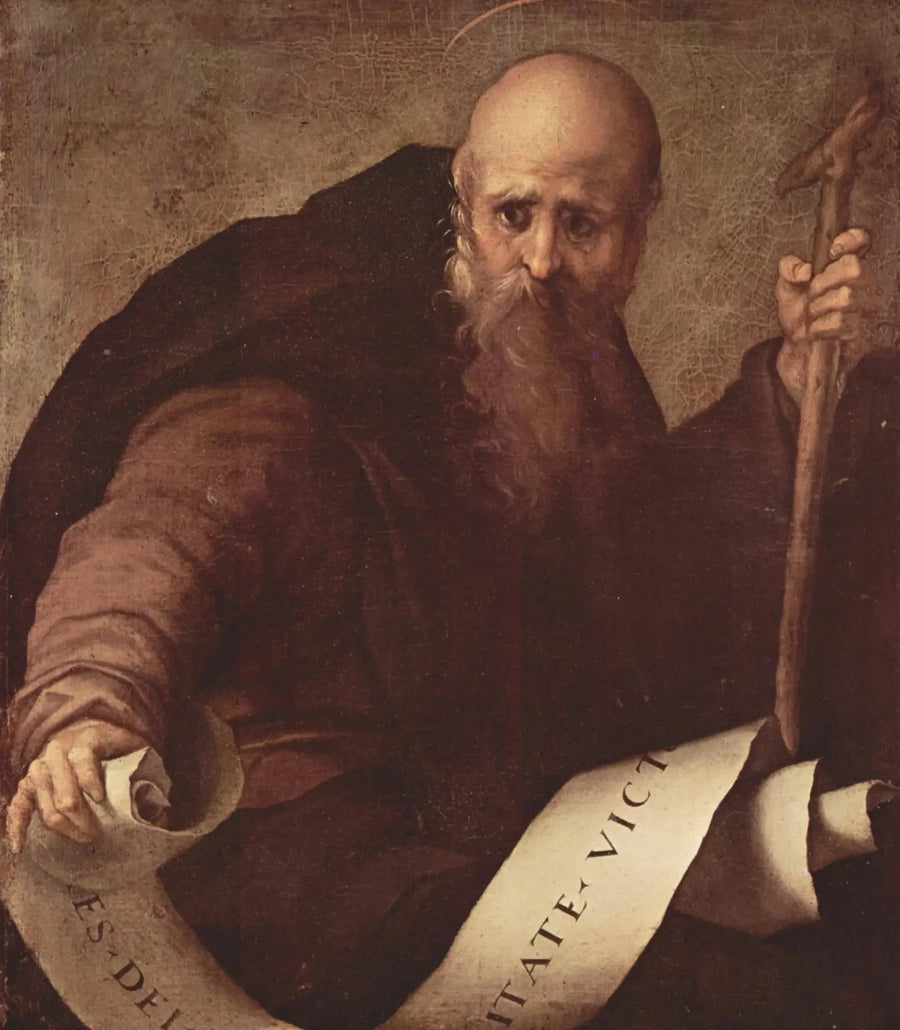 San Antonio abad - Pontormo