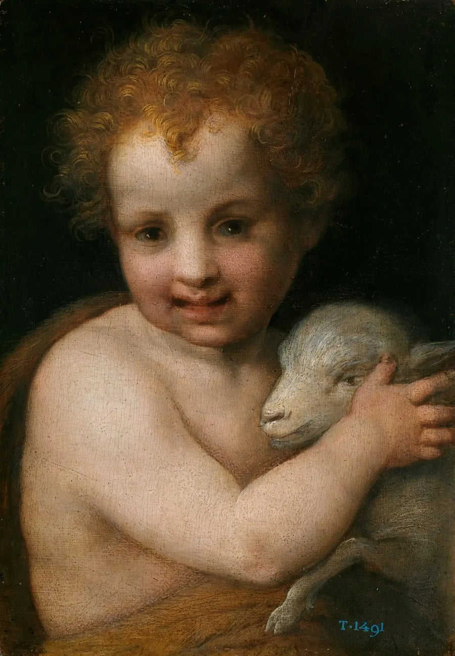 San Juan Bautista con el Cordero - Andrea del Sarto