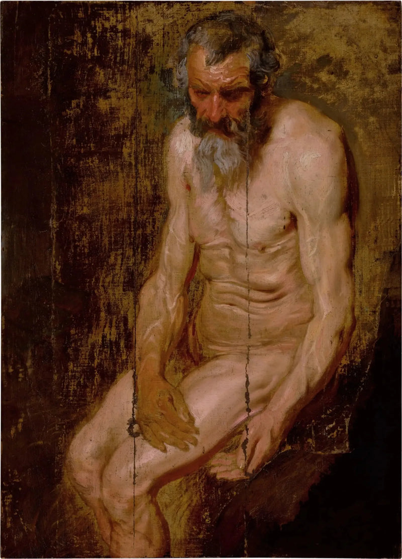 San Jerónimo - Antoine van Dyck
