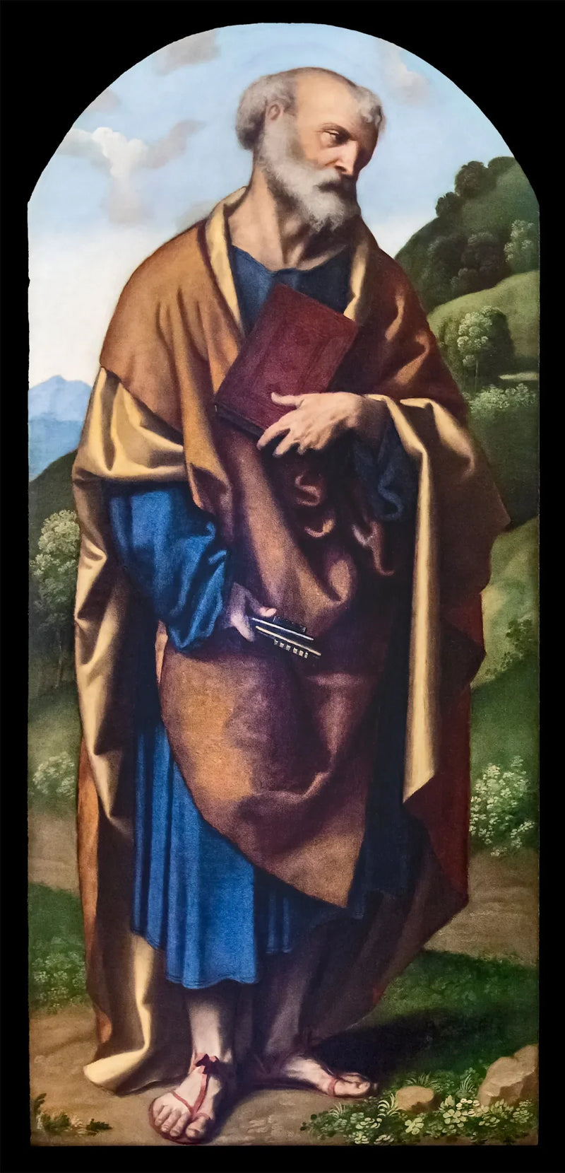San Pedro - Alessandro Bonvicino