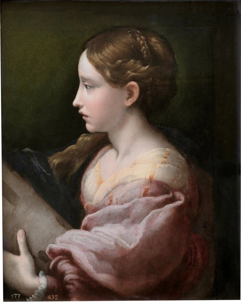 Santa Bárbara - Parmigianino
