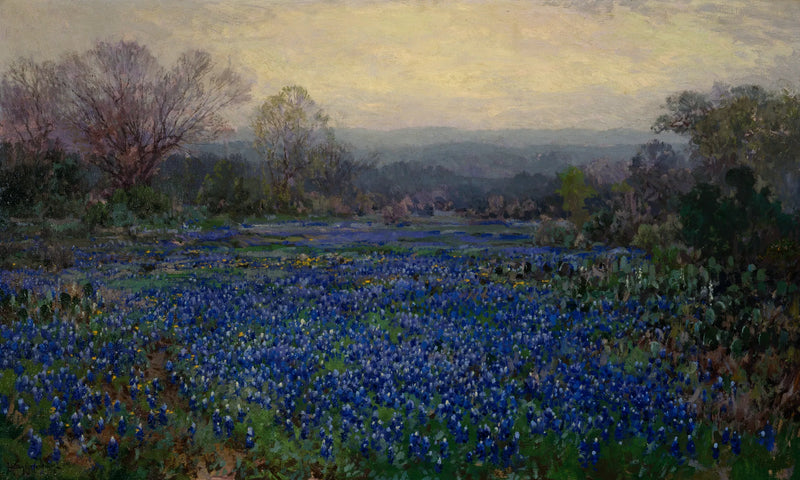Sin título (Campo de altramuces azules) - Julian Onderdonk