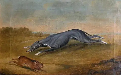 Sin título (Perro cazando una liebre) - George Stubbs