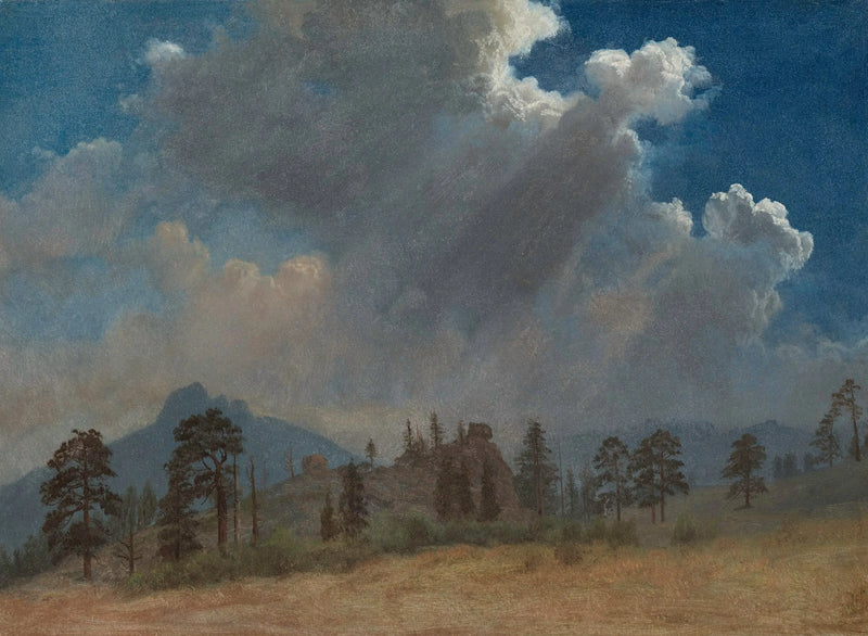 Pinos y nubes de tormenta - Albert Bierstadt