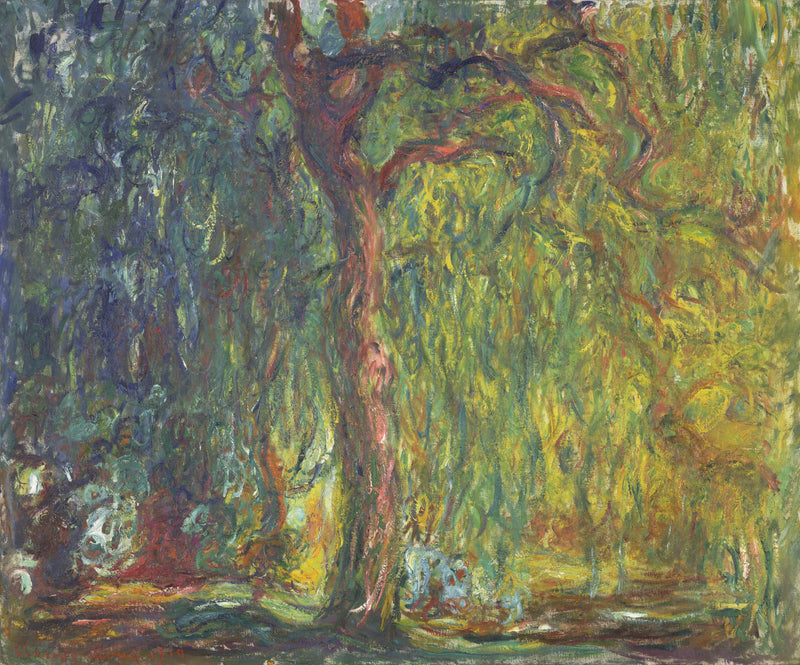 Sauce llorón - Claude Monet