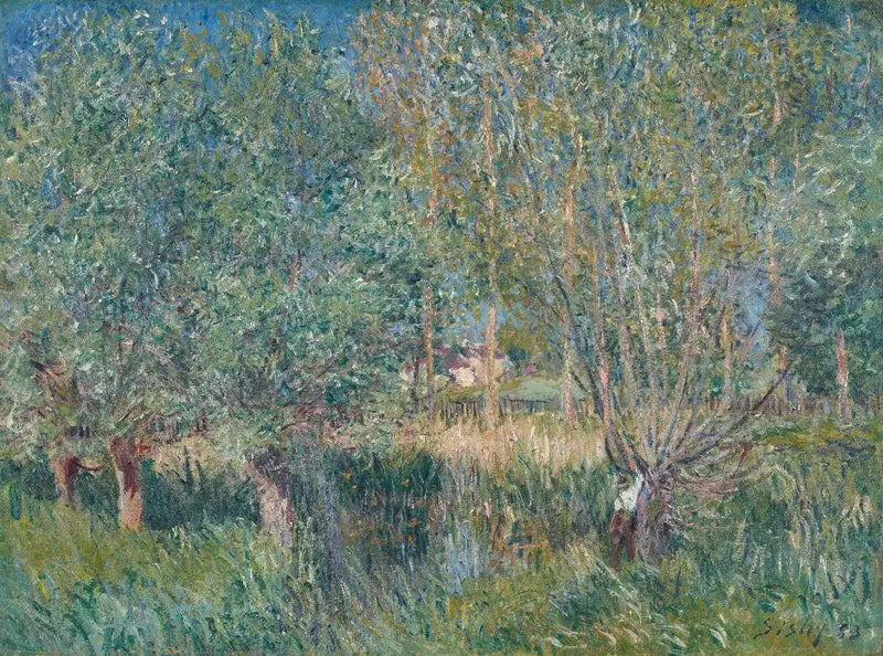 Sauces al borde del Orvanne - Alfred Sisley