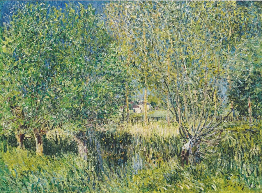 Sauces al borde del Orvanne - Alfred Sisley