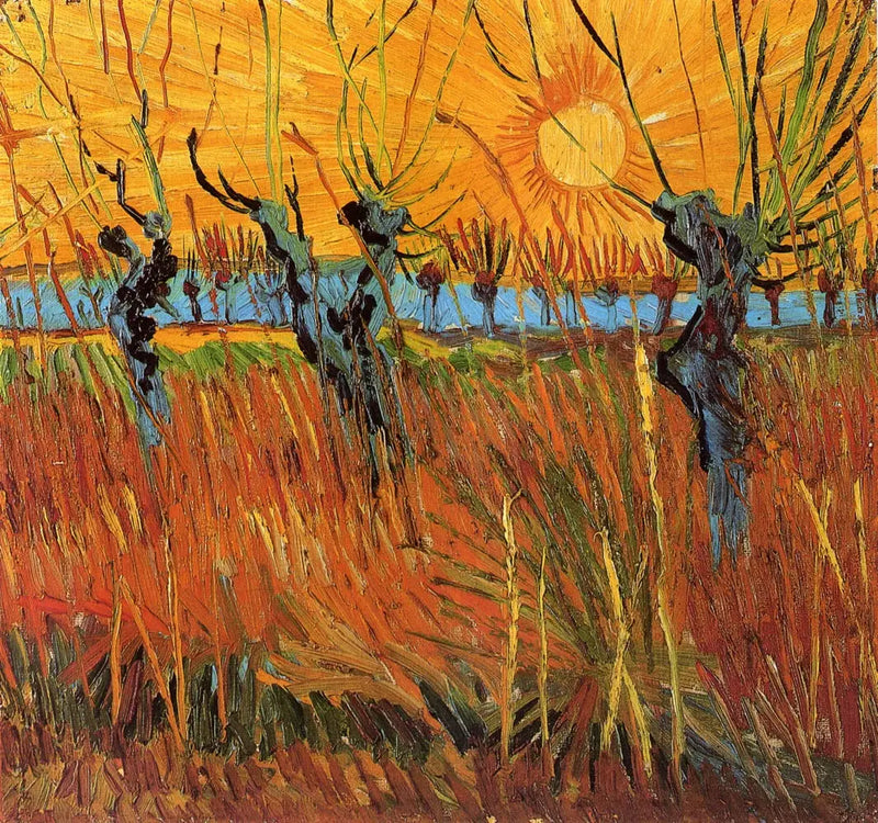 Sauces al atardecer - Vincent van Gogh