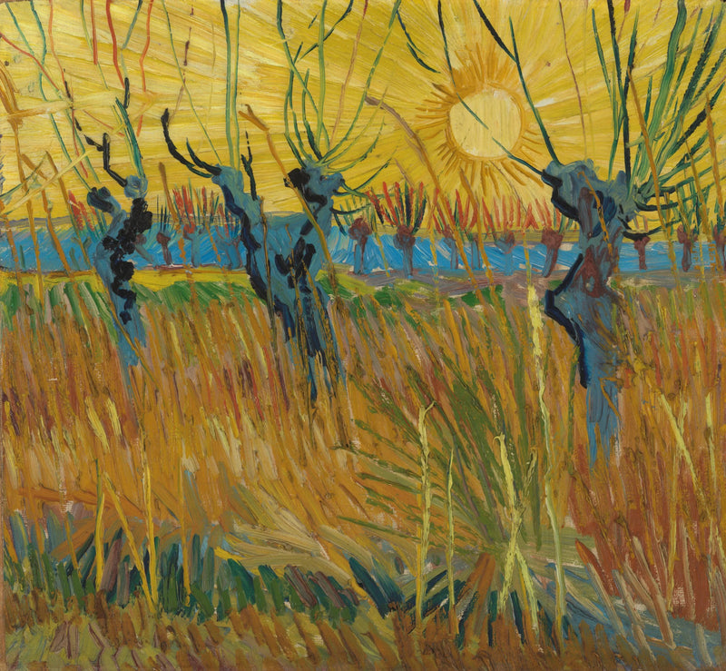Sauces al atardecer - Vincent van Gogh