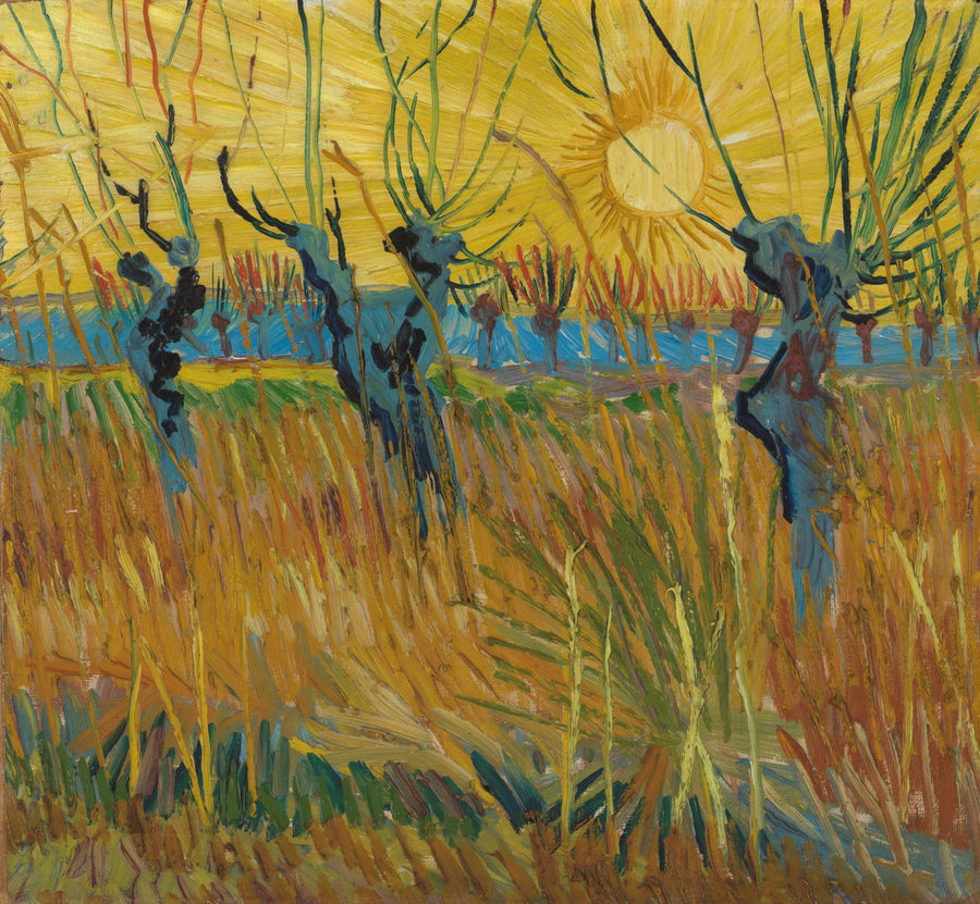 Sauces al atardecer - Vincent van Gogh