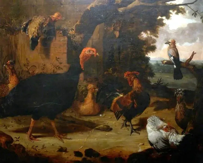 Escena de granja, el pavo negro - Melchior de Hondecoeter
