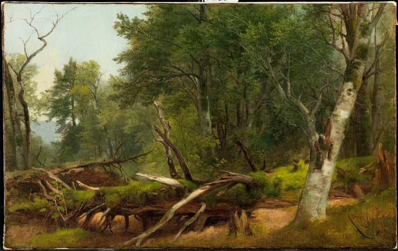 Escena de bosque en los Catskills - Asher Brown Durand