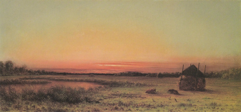 Escena de pantano: dos bovinos en un campo - Martin Johnson Heade