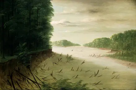 Escena del Bajo Mississippi - George Catlin