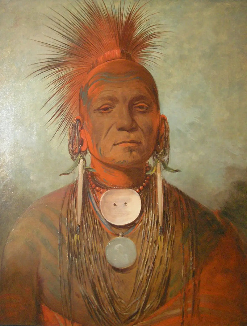 See-non-ty-a, un sanador de Iowa - George Catlin
