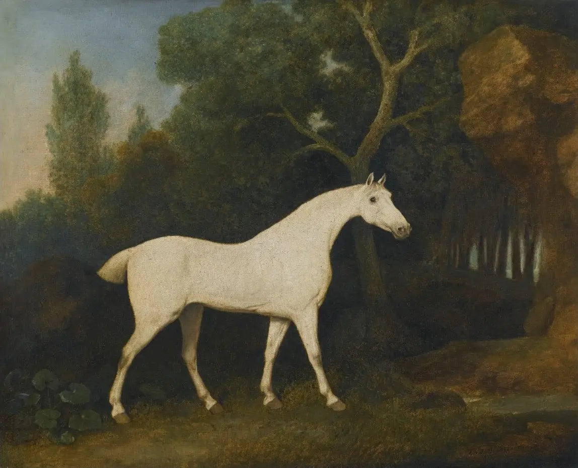 Selim un chasseur gris dans un enclos - George Stubbs - Alpha Reproduction