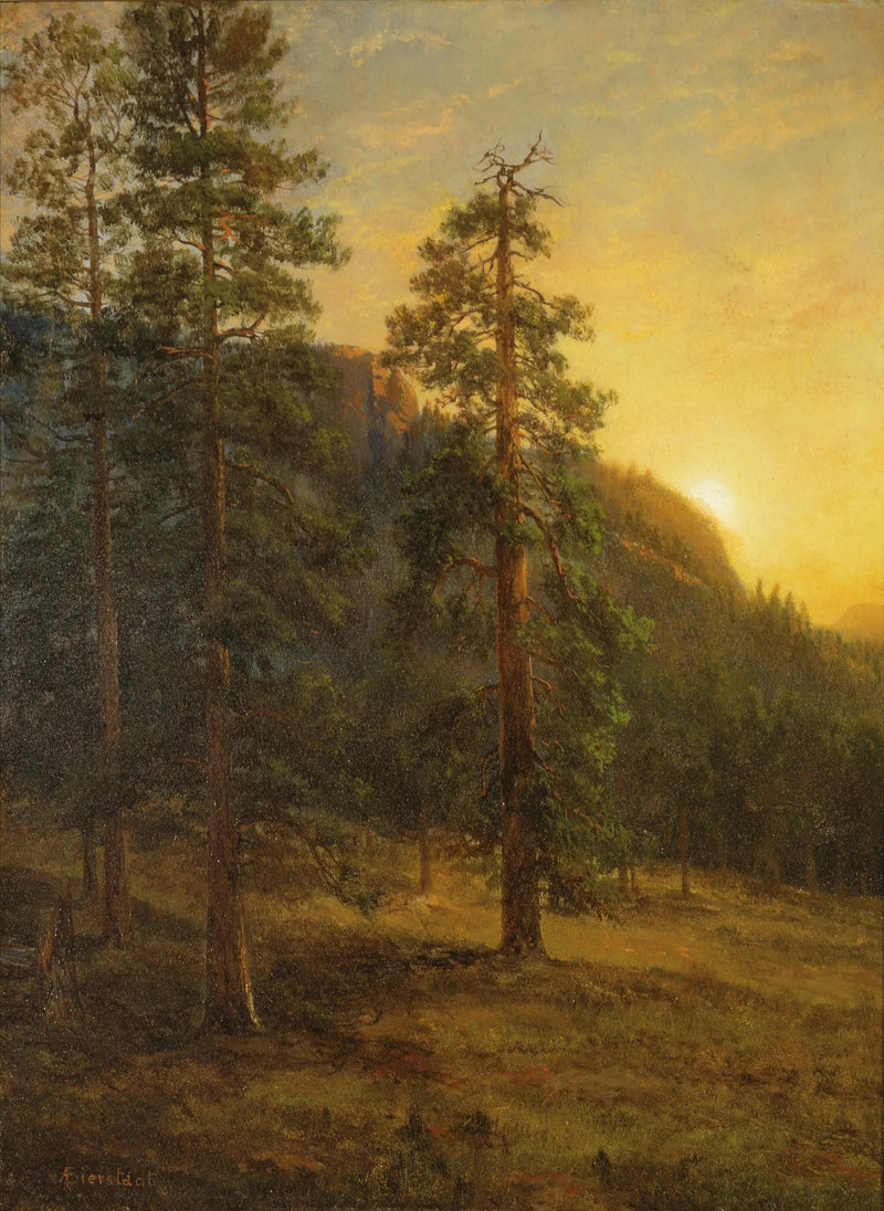 Secuoyas de California - Albert Bierstadt