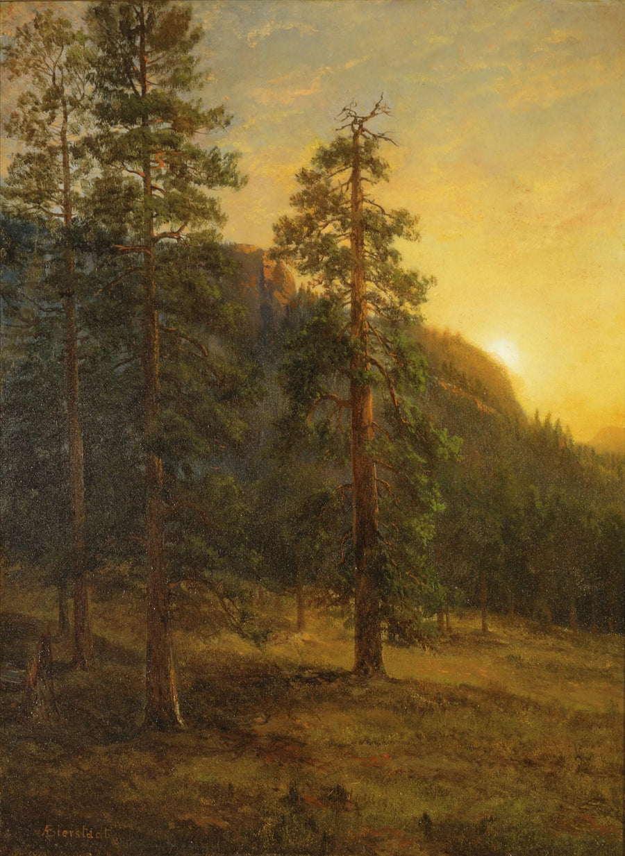 Secuoyas de California - Albert Bierstadt