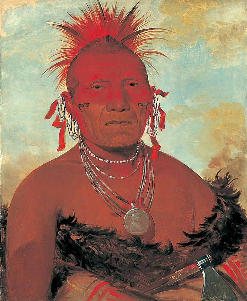 Shón-ka-ki-he-ga, jefe de caballos, gran jefe Pawnee - George Catlin