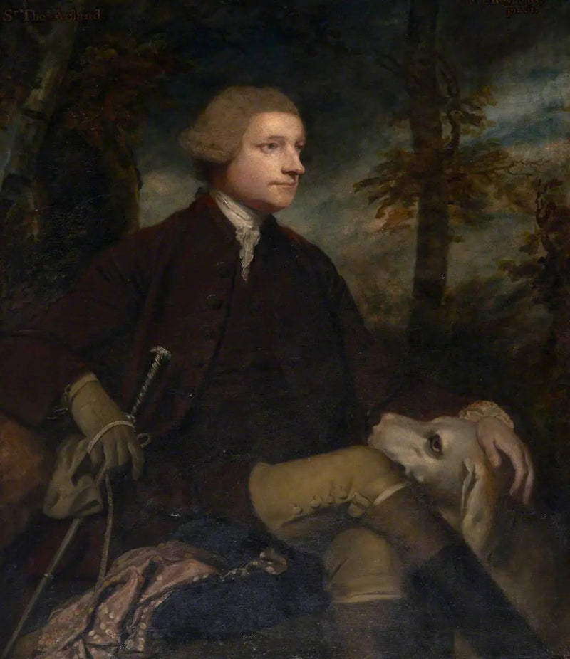 Sir Thomas Dyke Acland, 3er/7º baronet Acland de Columb-John diputado (1722-1785) - Joshua Reynolds