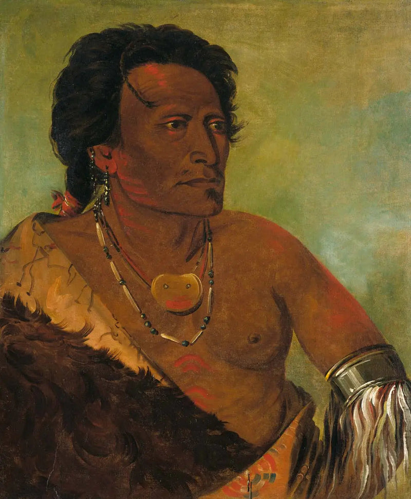 Sky-se-ró-ka, segundo jefe de la tribu - George Catlin