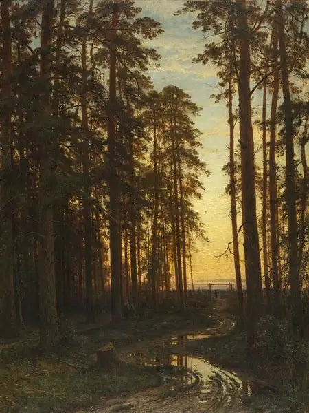 Noche en un bosque de pinos - Ivan Chichkine