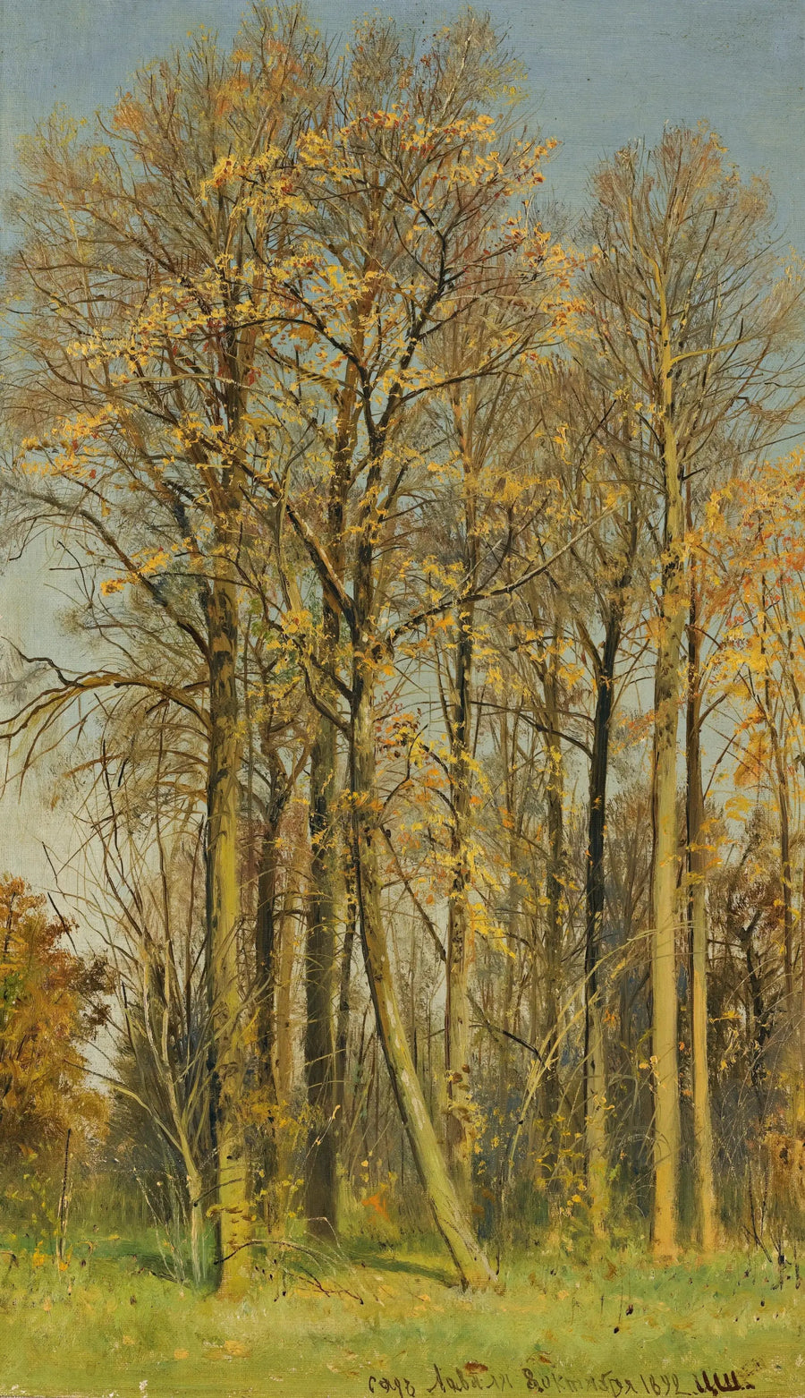 Sorbier de los sorbiers en otoño - Ivan Chichkine