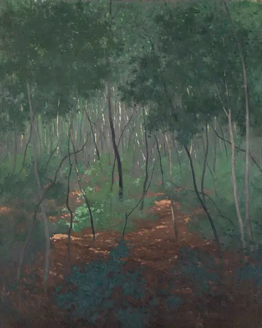 Bosque bajo, árboles ligeros - Félix Vallotton