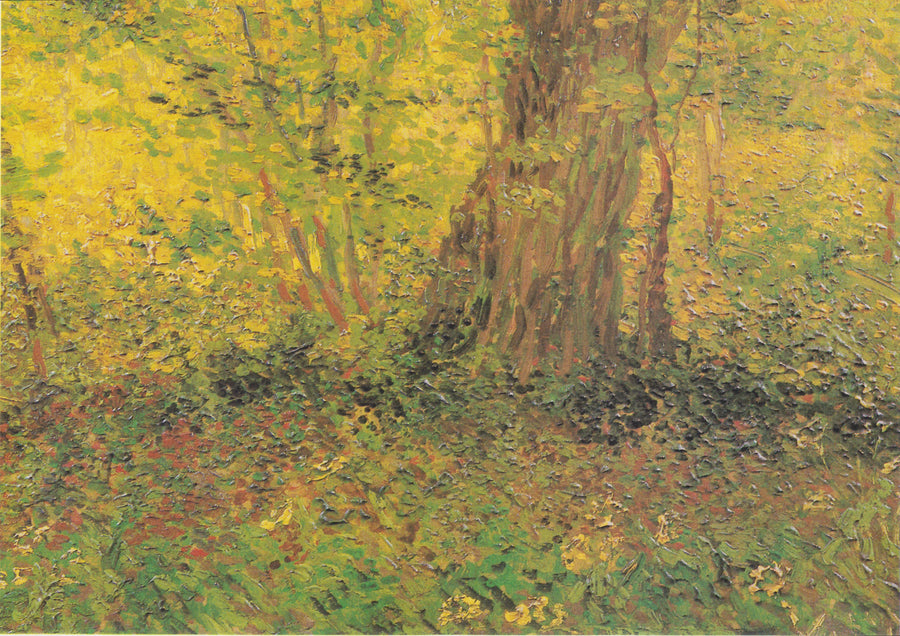 Sotto bosco - Vincent van Gogh