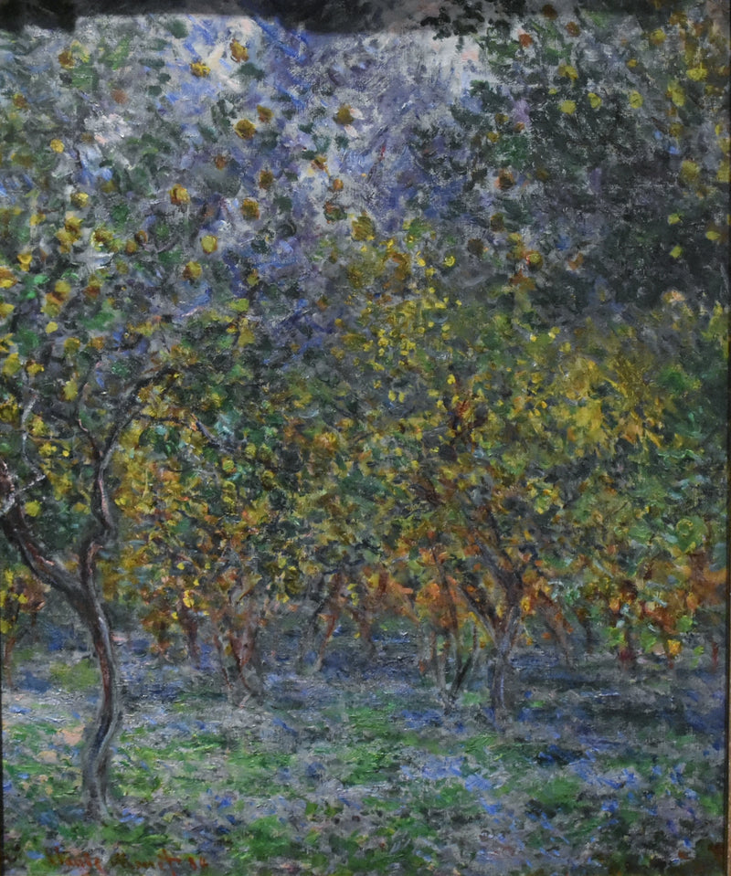 Debajo de los limoneros W873 - Claude Monet
