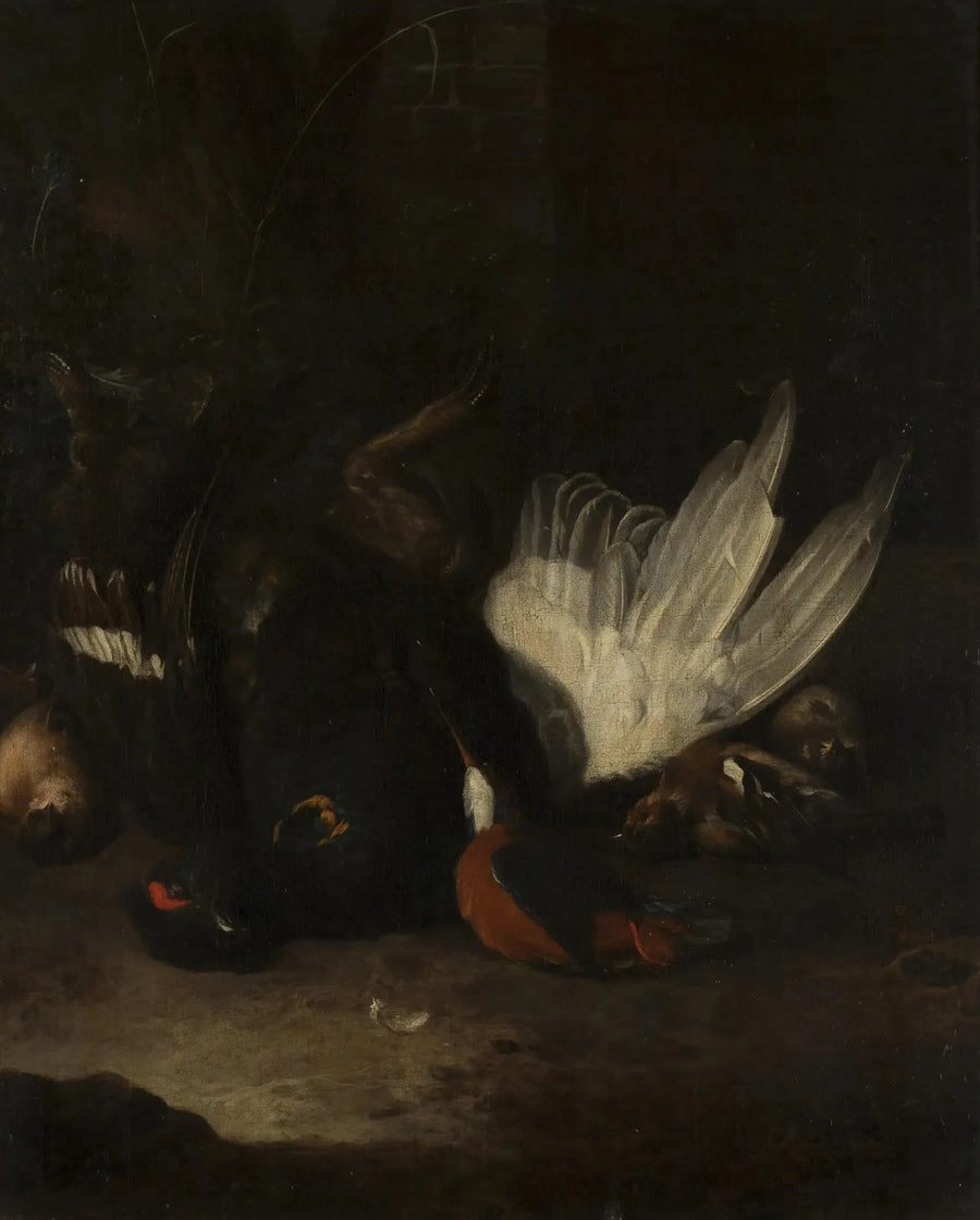Q24066967 - Melchor de Hondecoeter
