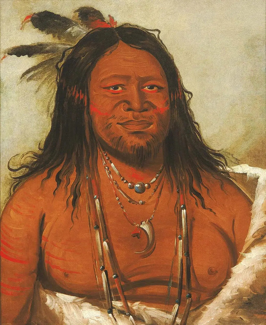 Ta-wáh-que-nah, Montaña de las Rocas, Segundo Jefe de la Tribu - George Catlin