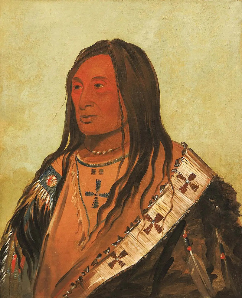 Táh-zee-keh-dá-cha, Vientre desgarrado, un valiente distinguido - George Catlin